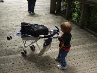 At the zoo