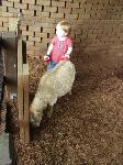 At the zoo