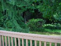 Back Yard Corner of Porch