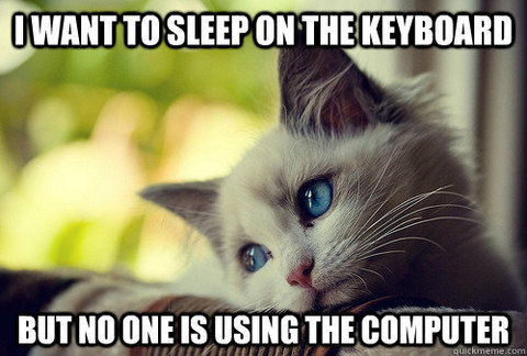 Kitteh says, "I want to sleep on the keyboard but no one is using the computer."